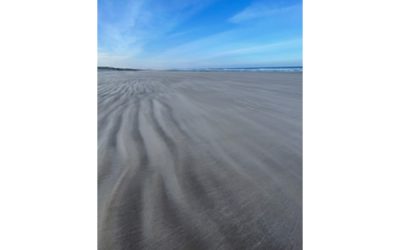 Northumberland Beach Walking