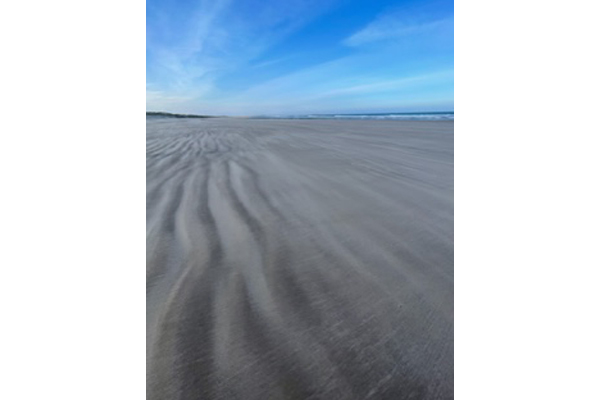 Northumberland Beach Walking