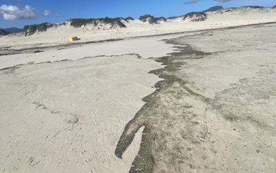 Where I Find Inspiration